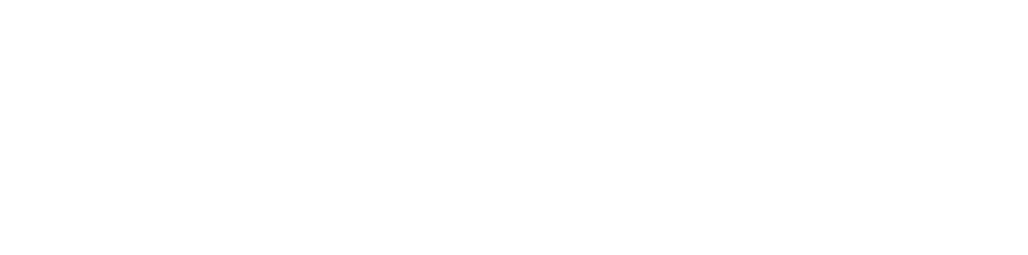 logo - revidovano.cz